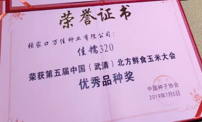 佳糯320