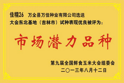 佳糯26 